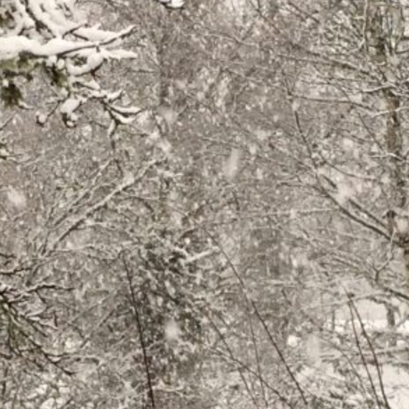 S o m det har snöat under dagen... 16 januari 2018